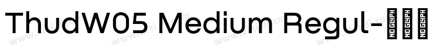 ThudW05 Medium Regul字体转换